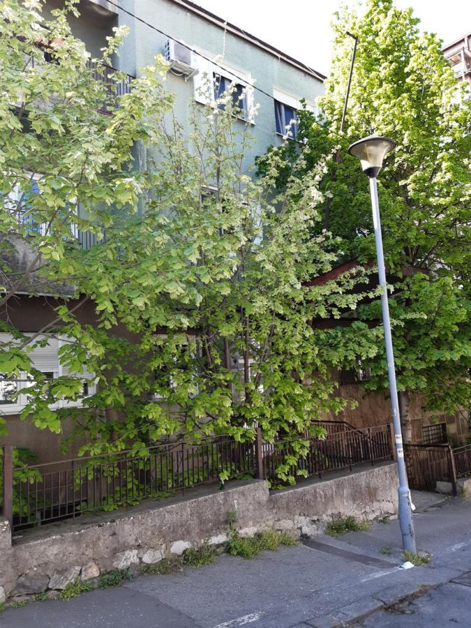 Victor Residence بلغراد المظهر الخارجي الصورة